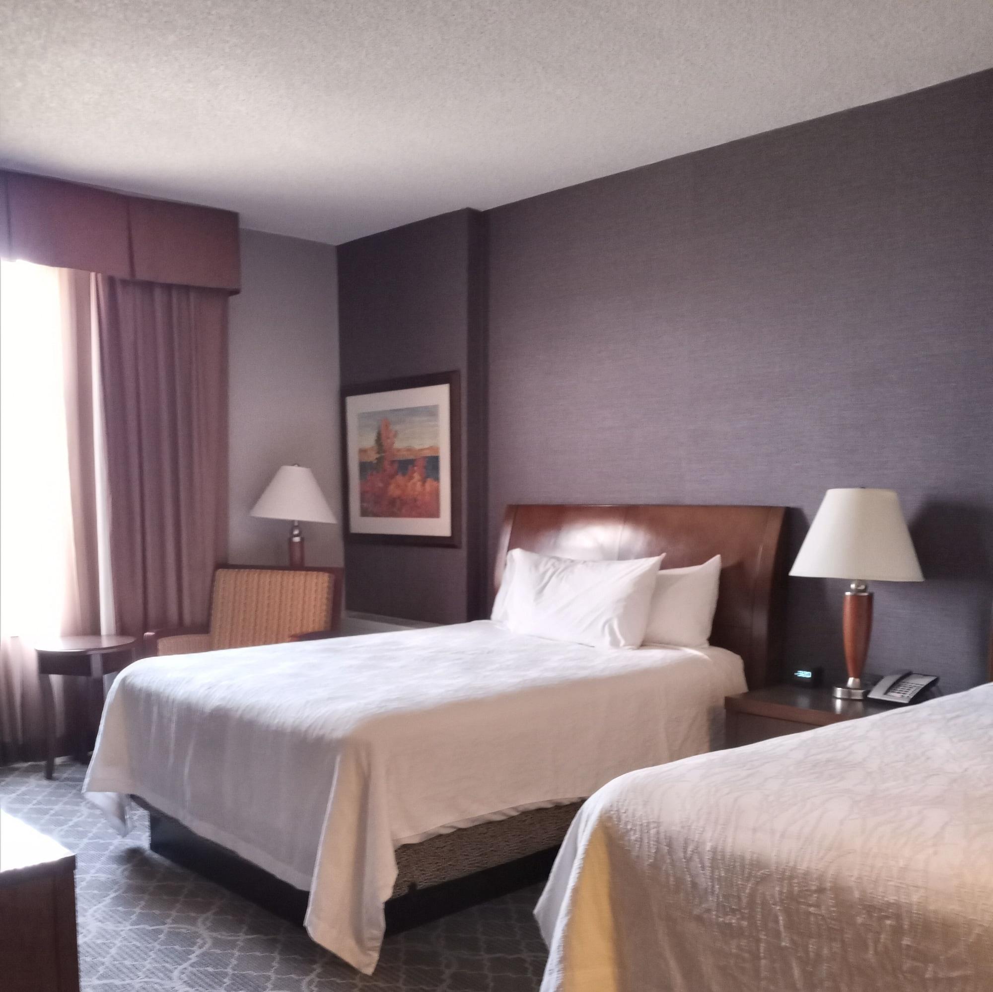Hotel Hilton Garden Airport 3*