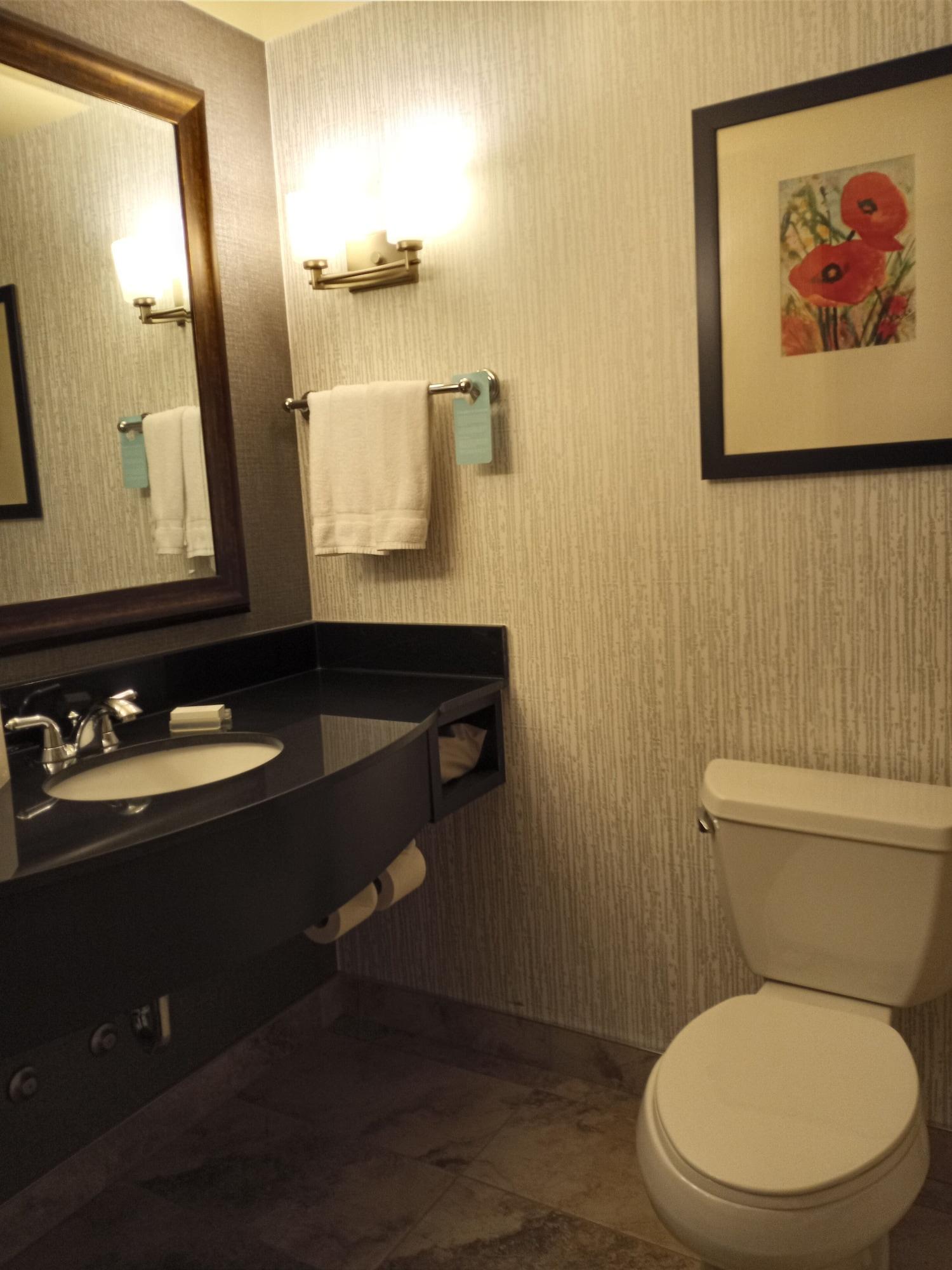 Hilton Garden Airport Hotel 3*