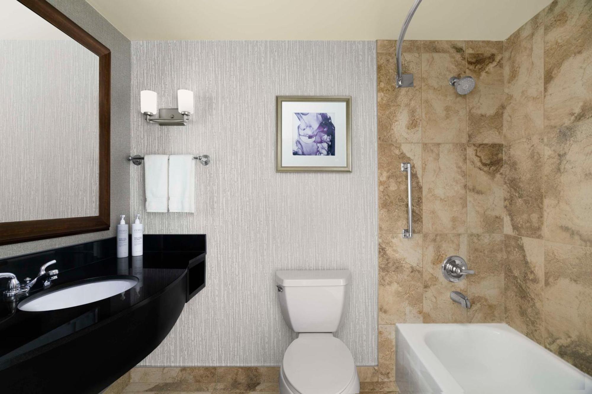 Hotel Hilton Garden Airport 3*
